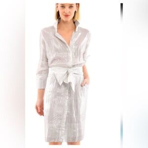 Gretchen Scott Designs Silver Metallic NWOT dress size XL with pockets